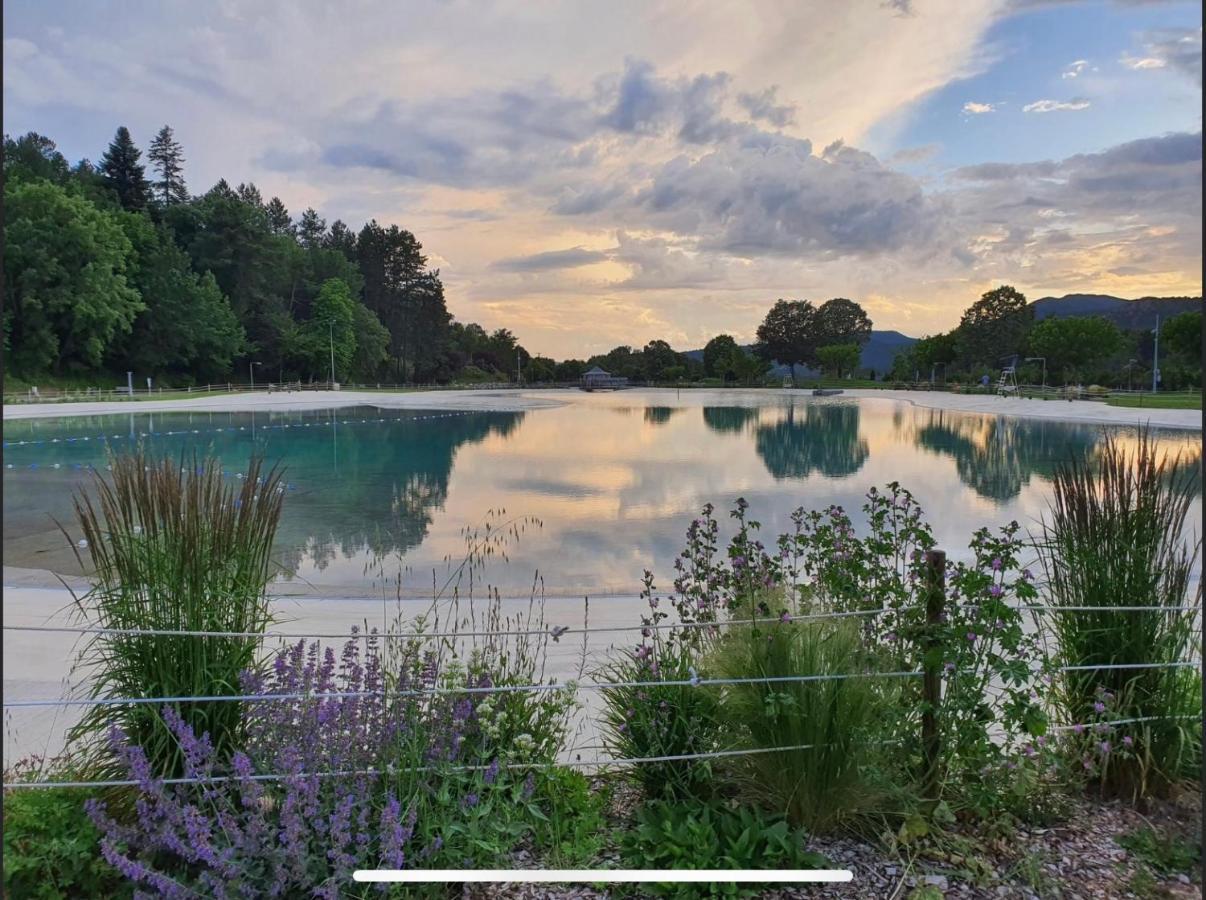 Les Glycines, Charmant Studio Au Calme Dans Batisse De Maitre Proche Du Centre Ville Parking Gratuit Digne-les-Bains Exterior photo